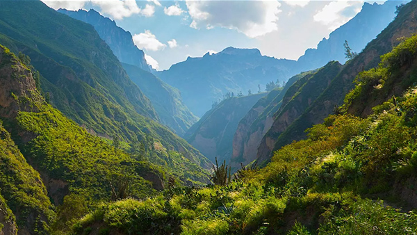 Canyon del Colca