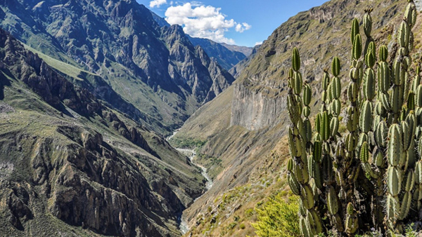 Colca Canyon