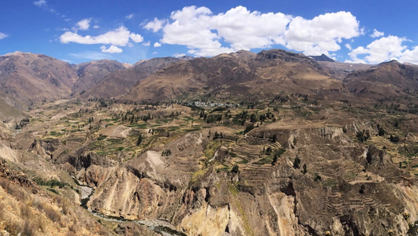 Canyon del Colca