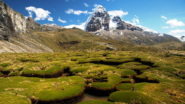 White Cordillera