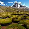 Cordillera Blanca