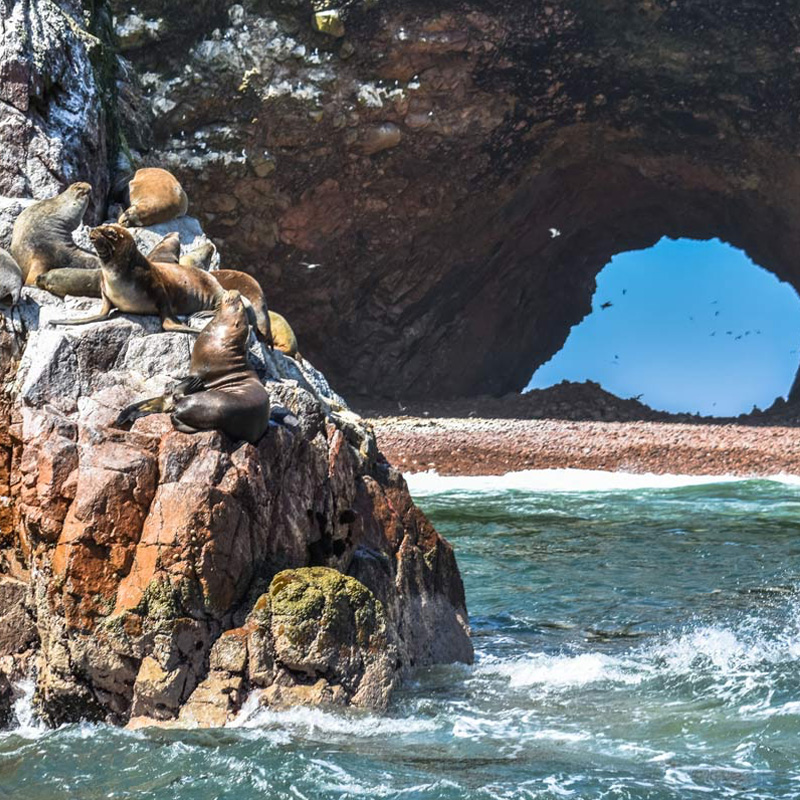 Islas Ballestas