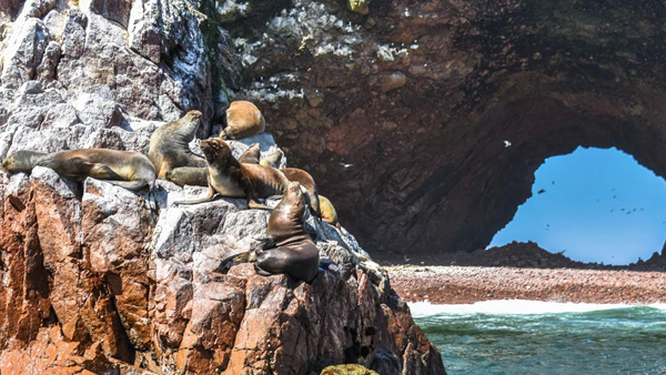 Islas Ballestas