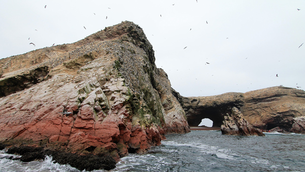 Ballestas Islands