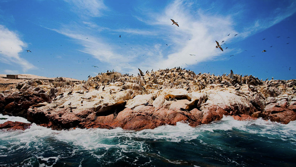 Ballestas Islands