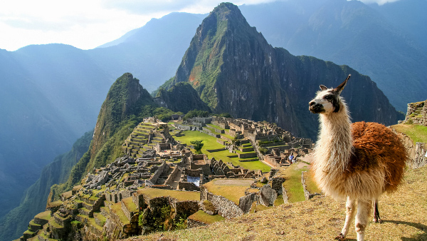 Machu Picchu