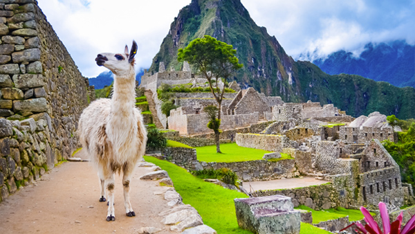 Machu Picchu