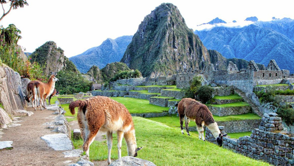 Machu Picchu