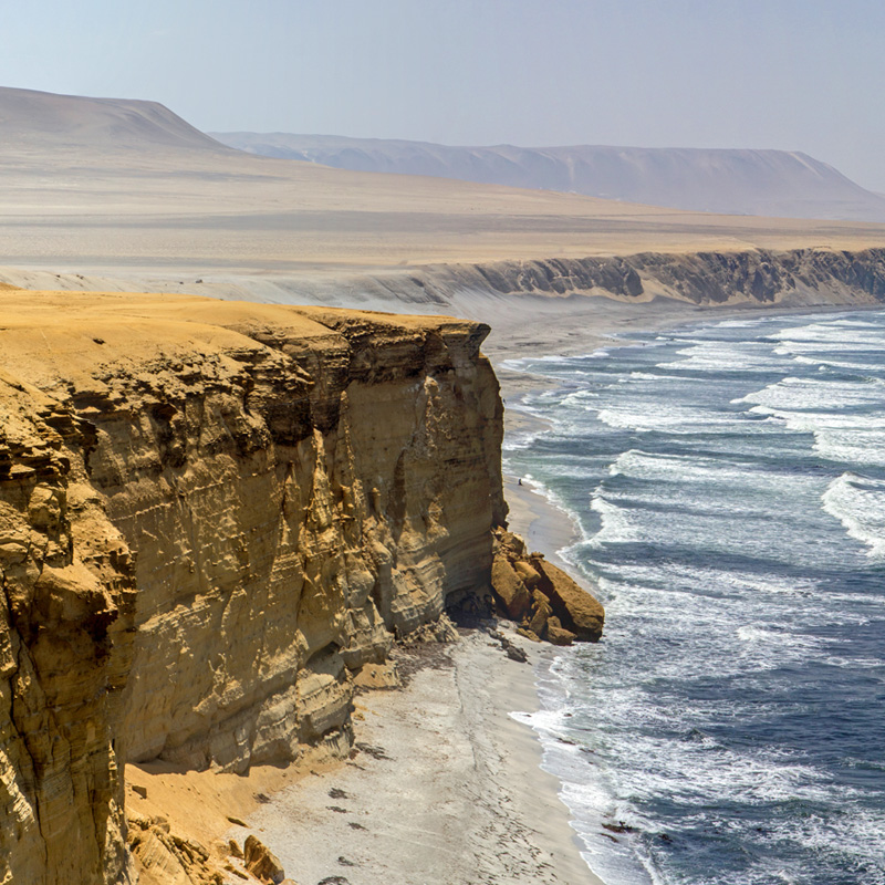 Paracas Reserve